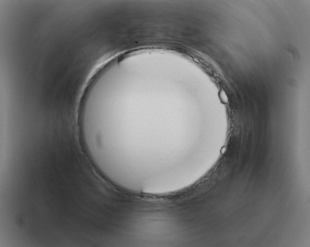 X0000116021168200912312147