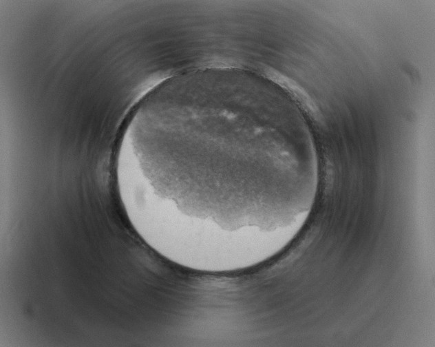 X0000116021170200912312147