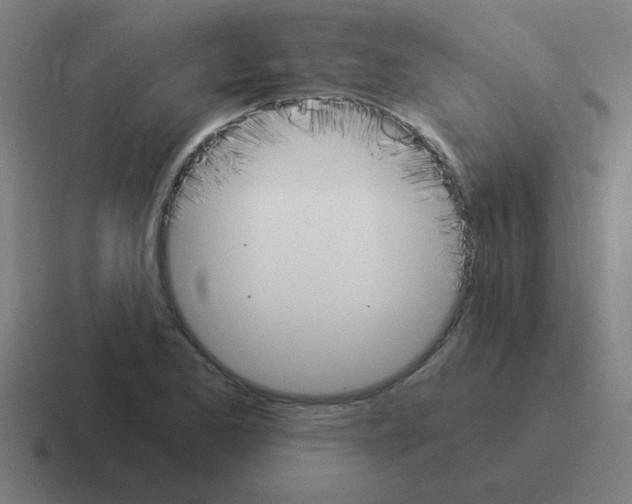 X0000116021173200912312147