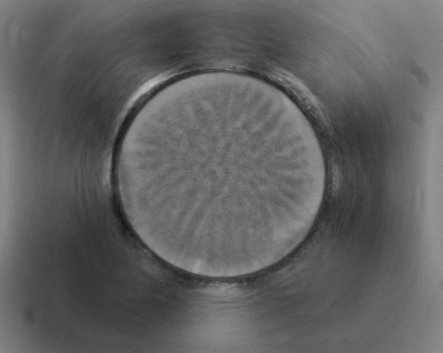 X0000116021174200912312147