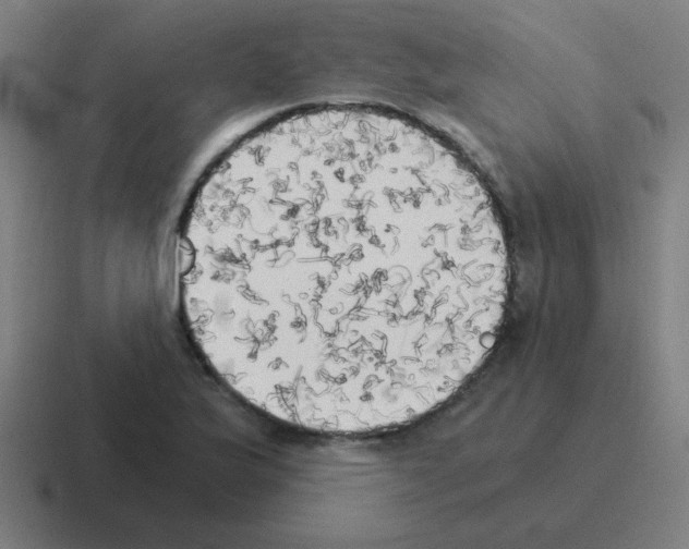 X0000116021175200912312147