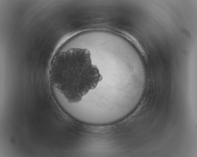 X0000116021176200912312147