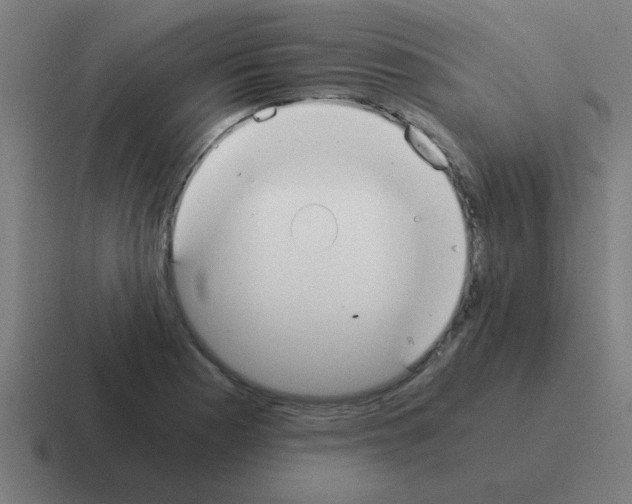 X0000116021177200912312147