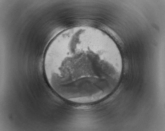 X0000116021178200912312147