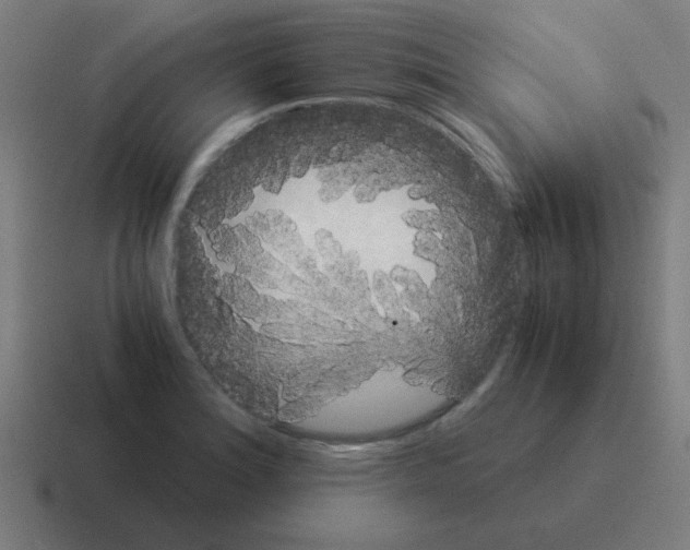 X0000116021180200912312147