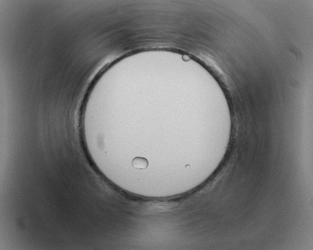 X0000116021181200912312147