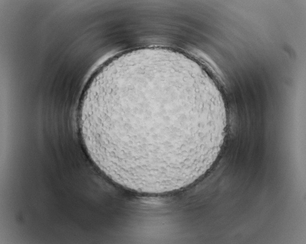 X0000116021182200912312147