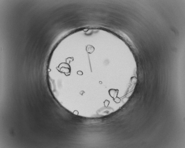 X0000116021183200912312147