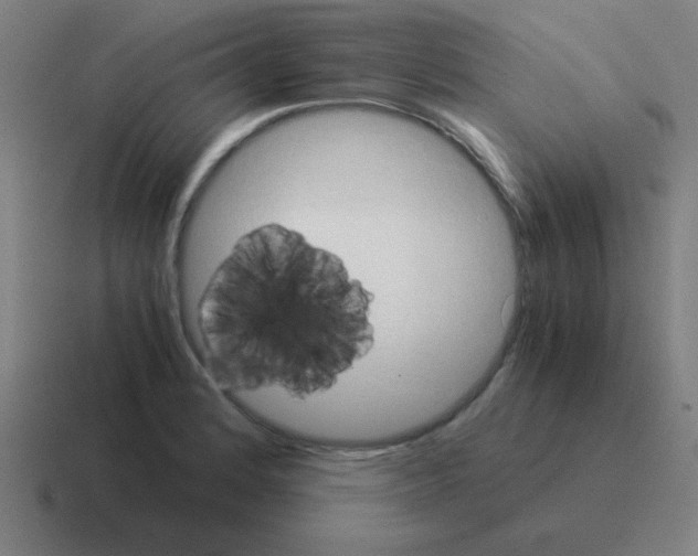 X0000116021184200912312147