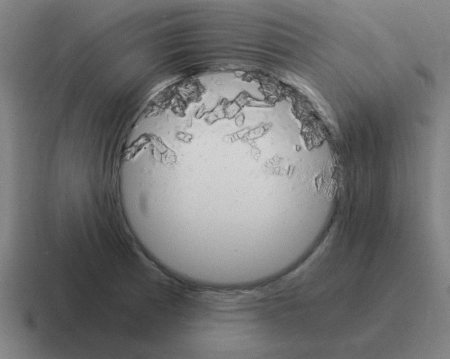 X0000116021185200912312147