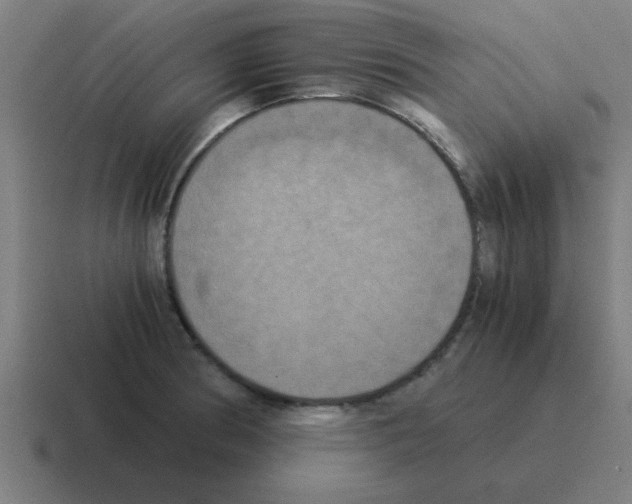 X0000116021186200912312147