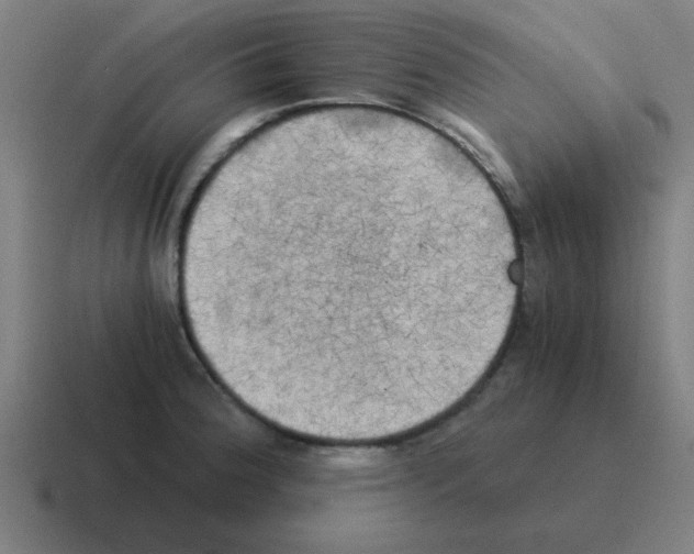 X0000116021188200912312147