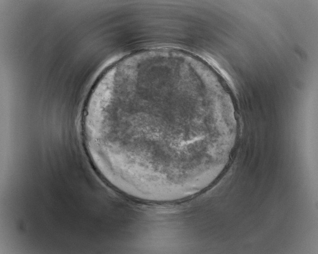 X0000116021189200912312147