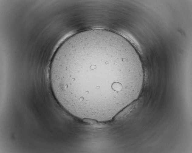 X0000116021190200912312147