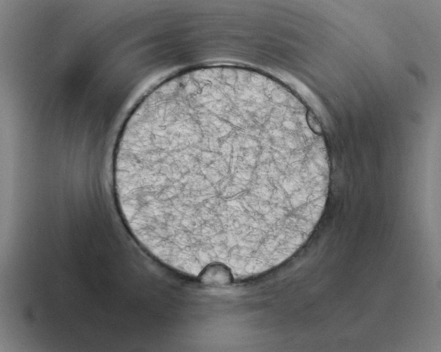 X0000116021191200912312147