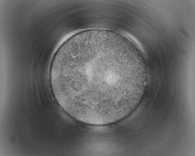 X0000116021192200912312147