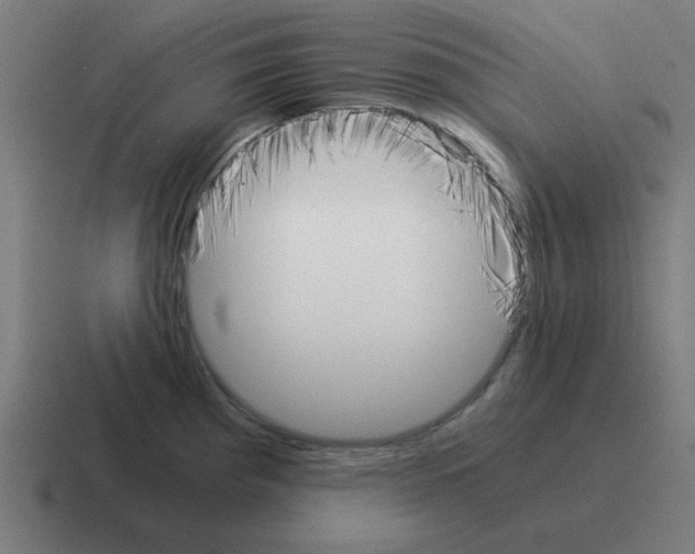 X0000116021193200912312147