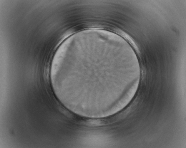 X0000116021194200912312147