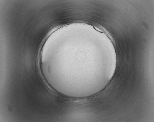 X0000116021195200912312147