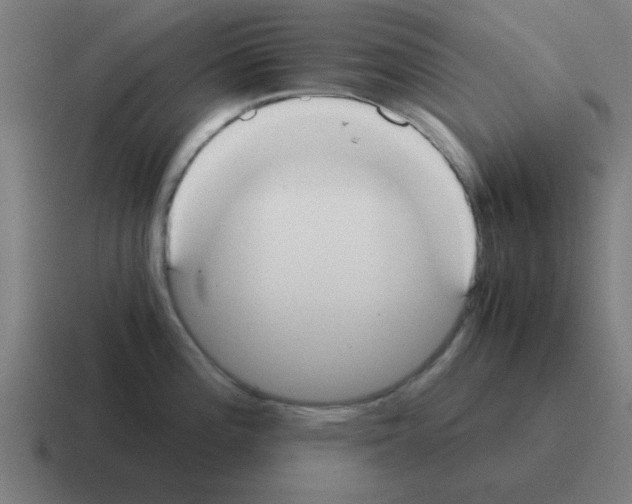 X0000116021196200912312147