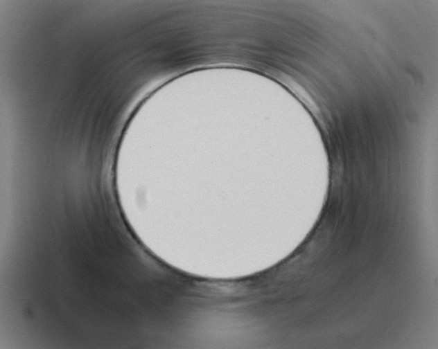 X0000116021197200912312147