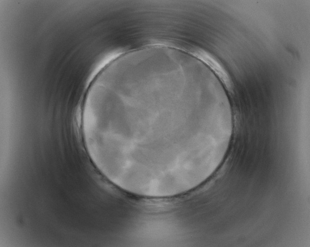 X0000116021198200912312147