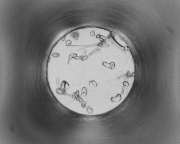 X0000116021199200912312147