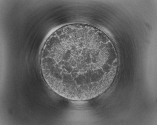 X0000116021200200912312147