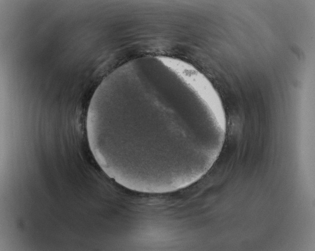 X0000116021202200912312146