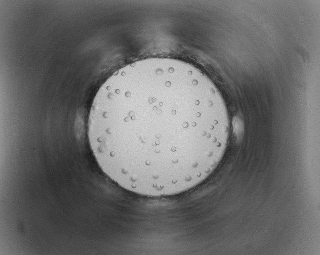 X0000116021203200912312146