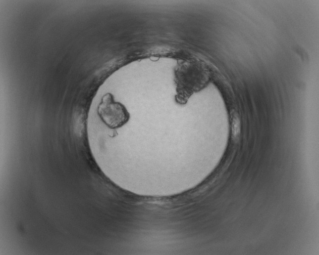 X0000116021204200912312146