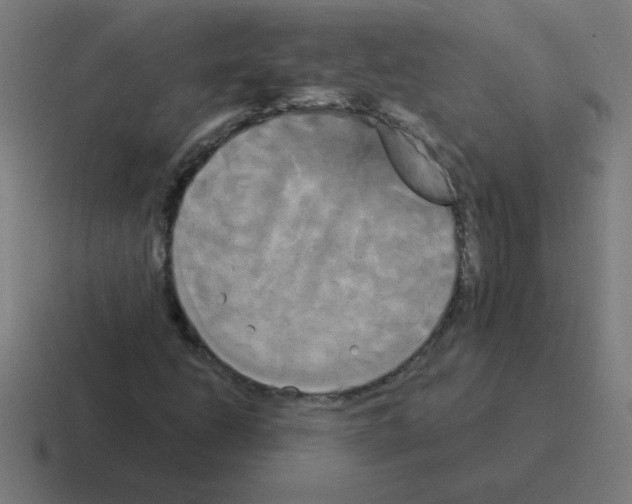 X0000116021206200912312146