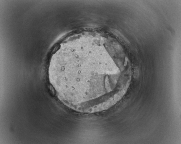 X0000116021208200912312146