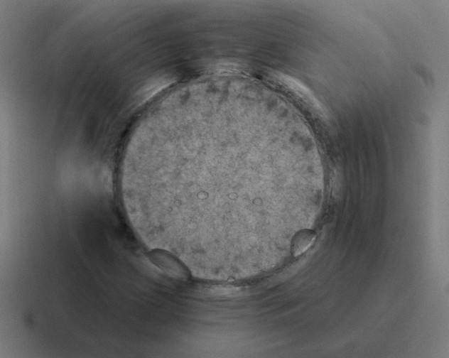 X0000116021209200912312146