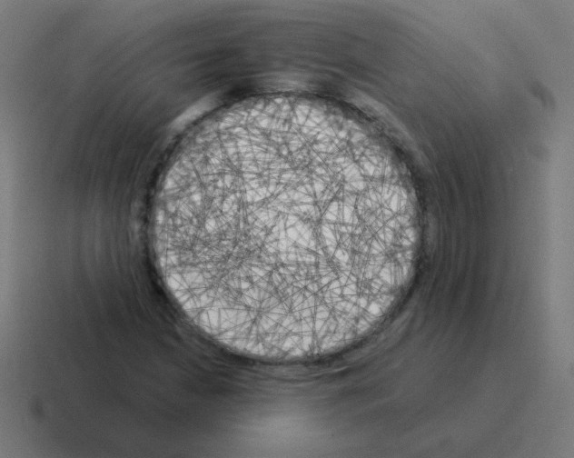 X0000116021210200912312146