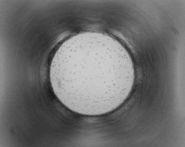 X0000116021211200912312146