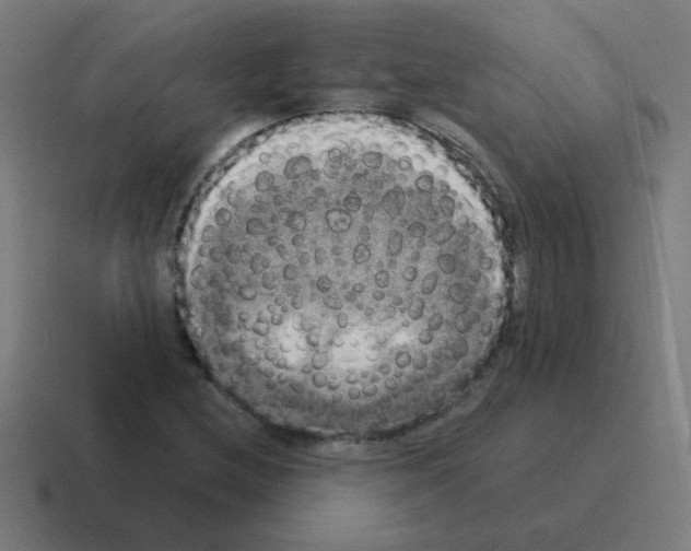 X0000116021212200912312146