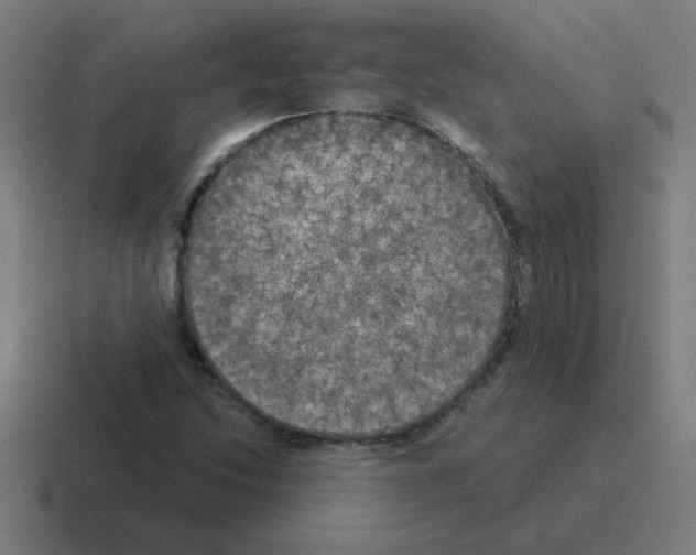 X0000116021214200912312146