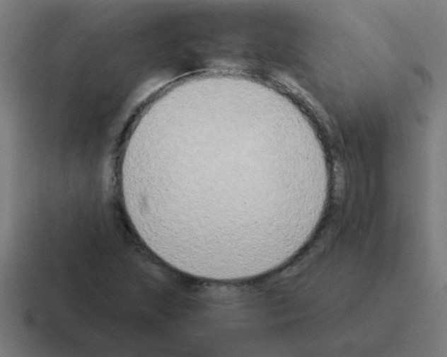 X0000116021215200912312146