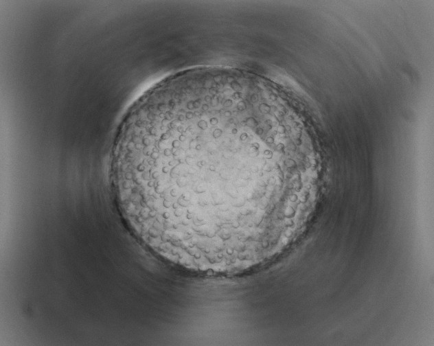 X0000116021216200912312146