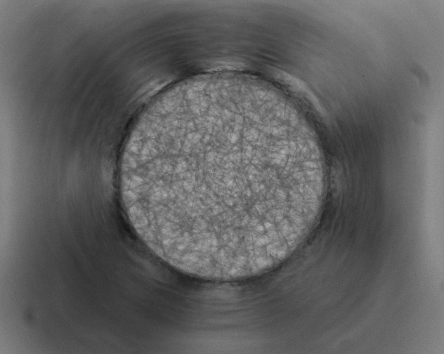 X0000116021217200912312146