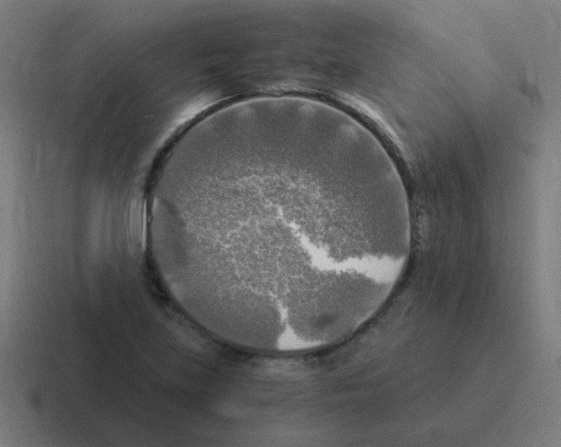 X0000116021219200912312146