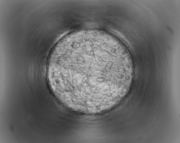 X0000116021220200912312146