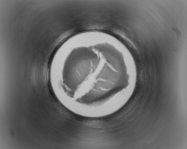 X0000116021221200912312146