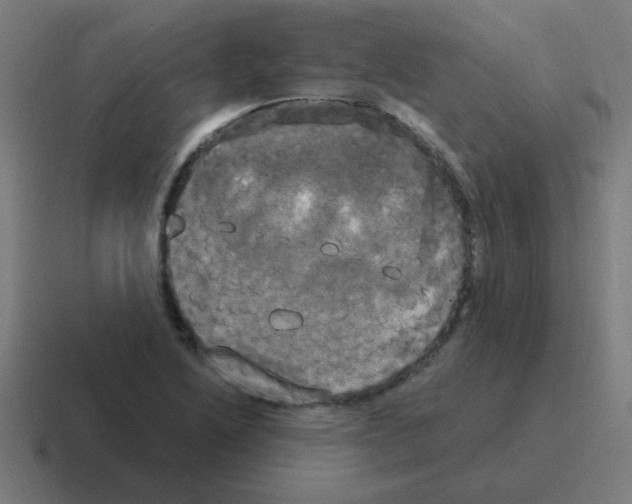 X0000116021222200912312146