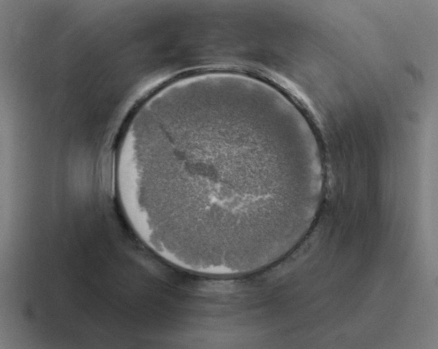 X0000116021223200912312146