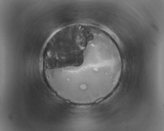 X0000116021224200912312146