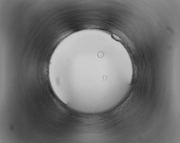 X0000116021225200912312146