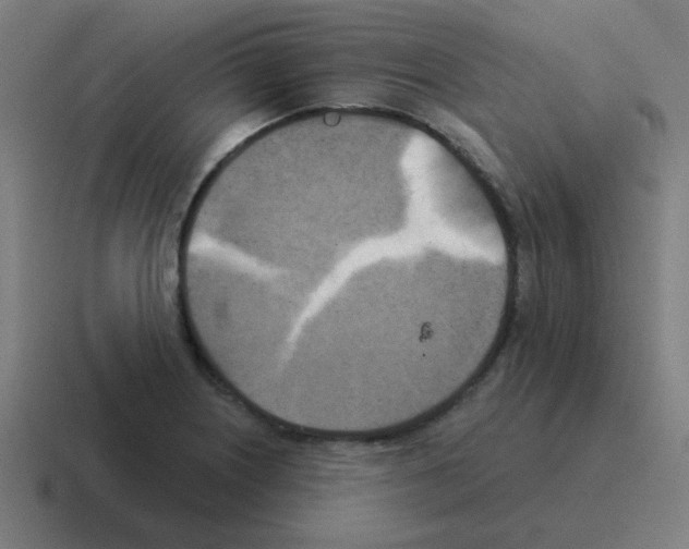 X0000116021226200912312146