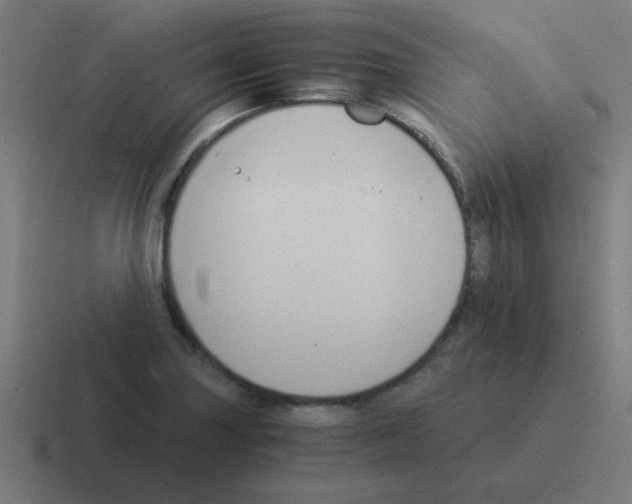 X0000116021227200912312146